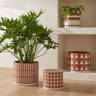 terracotta pots with pattern