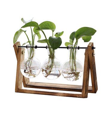 XXXFLOWER Plant Terrarium With Wooden Stand, $19.98