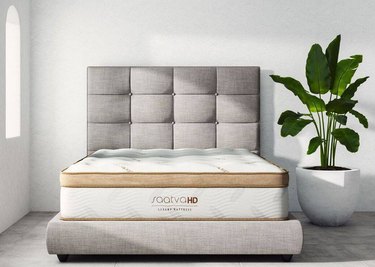 saatva mattress with a grey bed and a large plant