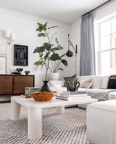 white living room with white coffee table and large houseplant