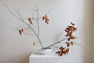 Foraged branches with brown leaves arranged in bowl