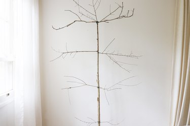 Four tiers of branches attached to a vertical tree branch