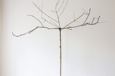 Smaller branches attached to large tree branch with floral wire