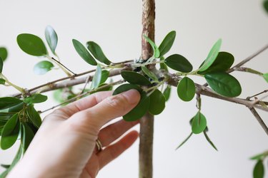 Hot gluing a leaf to conceal floral wire