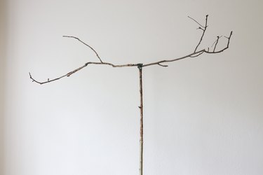 Two smaller branches attached to large tree branch with floral wire