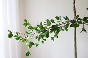 Faux green leaves hot glued to tree branch