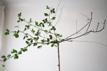 Faux leaf clusters hot glued to real tree branches