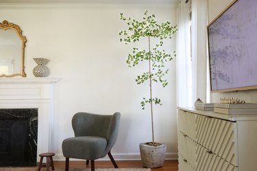DIY faux Shady Lady black olive tree in a living room next to green chair and gold mirror