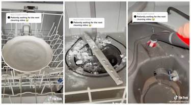 dishwasher cleaning tutorial on tiktok