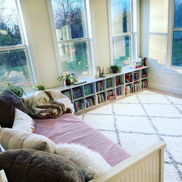 Reading room with carpet and couch