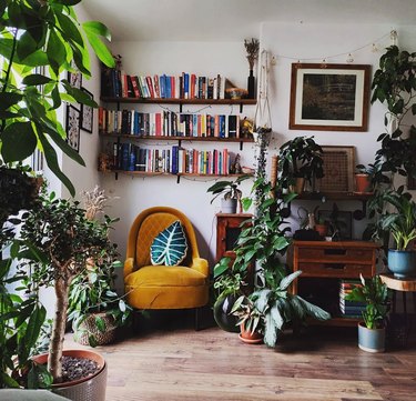 Reading nook surrounded by plants