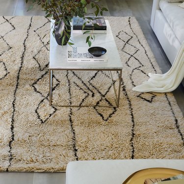shag rug in living room