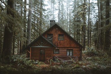 cabin house style