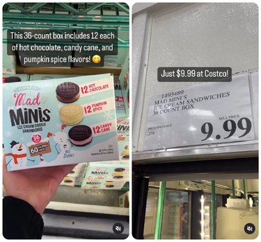 Mad Mini's Ice Cream Sandwiches at Costco