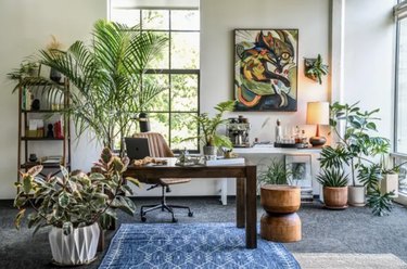 Home office with desk, rug, chair, end table, art, plants.