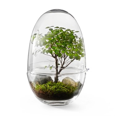 mini greenhouse planter