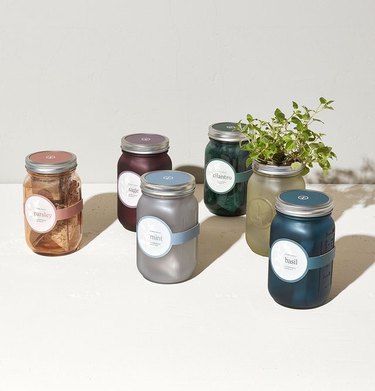 Modern Sprout Garden Jars — Herbs