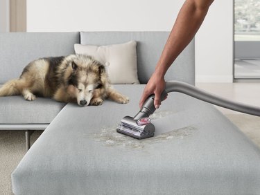 vacuum on couch