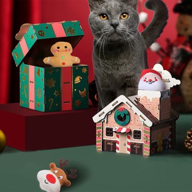 Cat surrounded by Christmas gifts