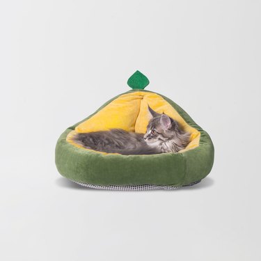 avocado pet bed