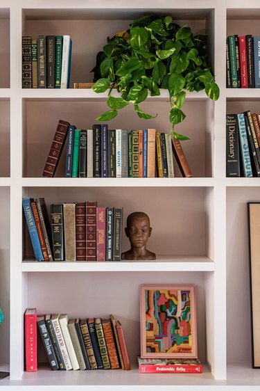 muted pink shelving with books, objet d'art and ivy plant