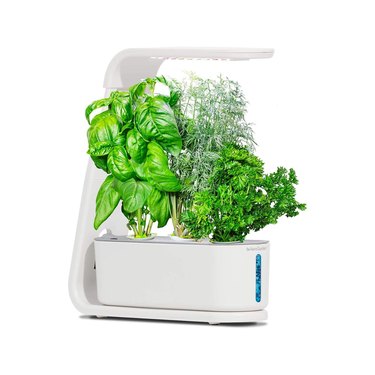AeroGarden Sprout With Gourmet Herbs Seed Pod Kit Hydroponic Indoor Garden