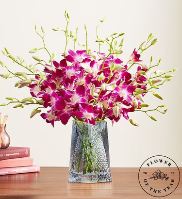 Pink and green orchids in a vase on a wooden table.