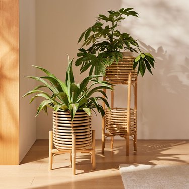 rattan plant stands