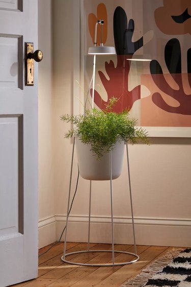 plant stand with grow light