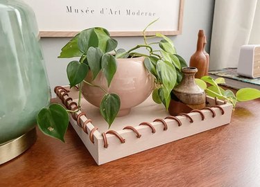 Tray with plant, vases.