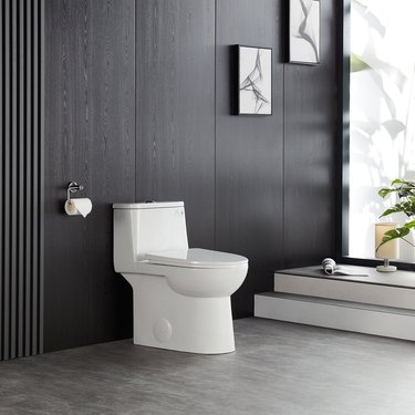 A dual flush toilet in a bathroom with black paneled walls and two steps up to a large glass window