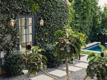 outdoor space with vines and sconce lighting
