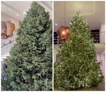 An undecorated Christmas tree on the left and a decorated Christmas tree with lights on the right.