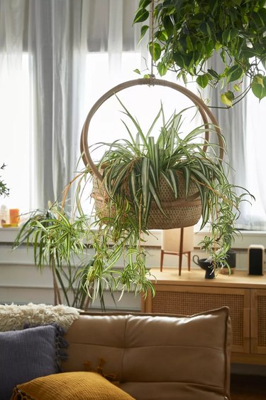 Urban Outfitters hanging basket planter