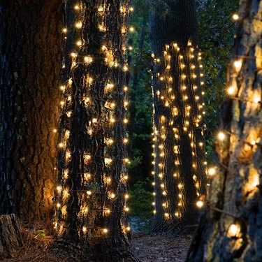 ideas for Christmas lights outdoors tree trunk lighting