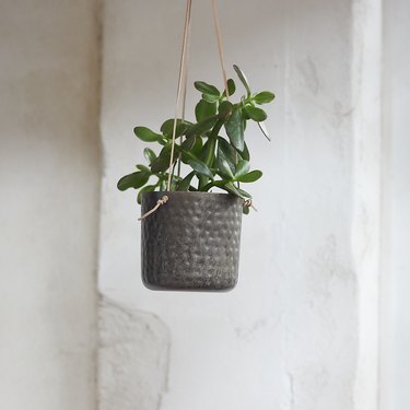 Terrain hanging metal pot