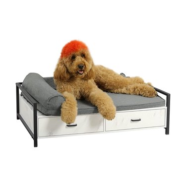 MSMASK Elevated Dogs Cats Sofa