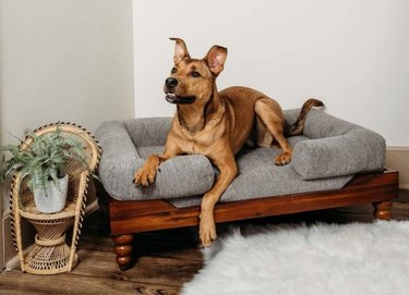 828 Pet Supplies Orthopedic Memory Foam Dog Sofa