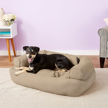 Snoozer Pet Products Luxury Overstuffed Cat & Dog Bed
