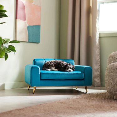 Frisco Elevated Art Deco Dog & Cat Sofa Bed