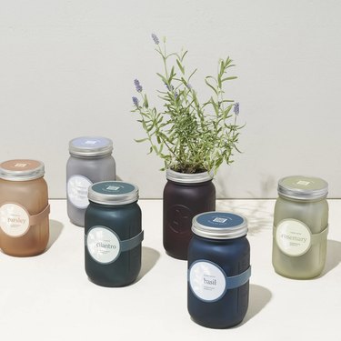 Modern Sprouts Garden Jars, $22