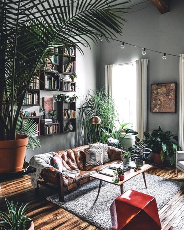 Living room with abundant plants, string lights, brown leather sofa and red accent stool.