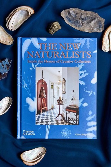 "The New Naturalists" by Claire Bingham on a navy blanket next to seashells