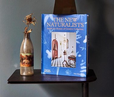 A blue book titled "The New Naturalists" by Claire Bingham on a black table next to a brown bottle vase in front of a dark grey wall.