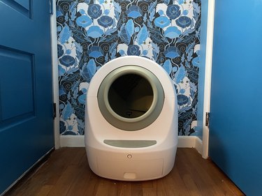 leo's loo too review