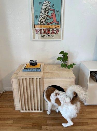 Plywood dog house/dog crate.