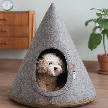 Fabric pet cave/house.