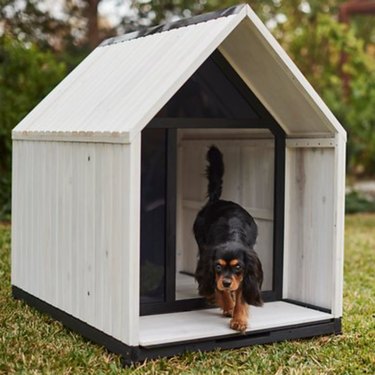 White outdoor dog house.