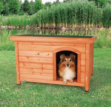 Raised wooden dog house.
