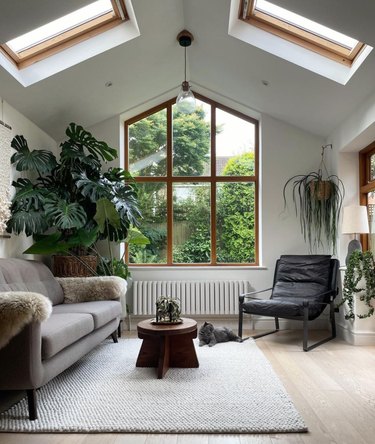 Living room with skylights, large indoor plants, couch, lounge chair, rug, coffee table.